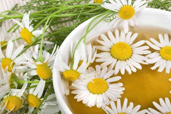 decoction of chamomile to increase strength